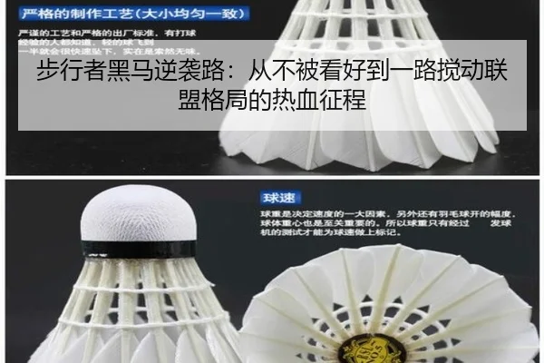 步行者黑马逆袭路：从不被看好到一路搅动联盟格局的热血征程